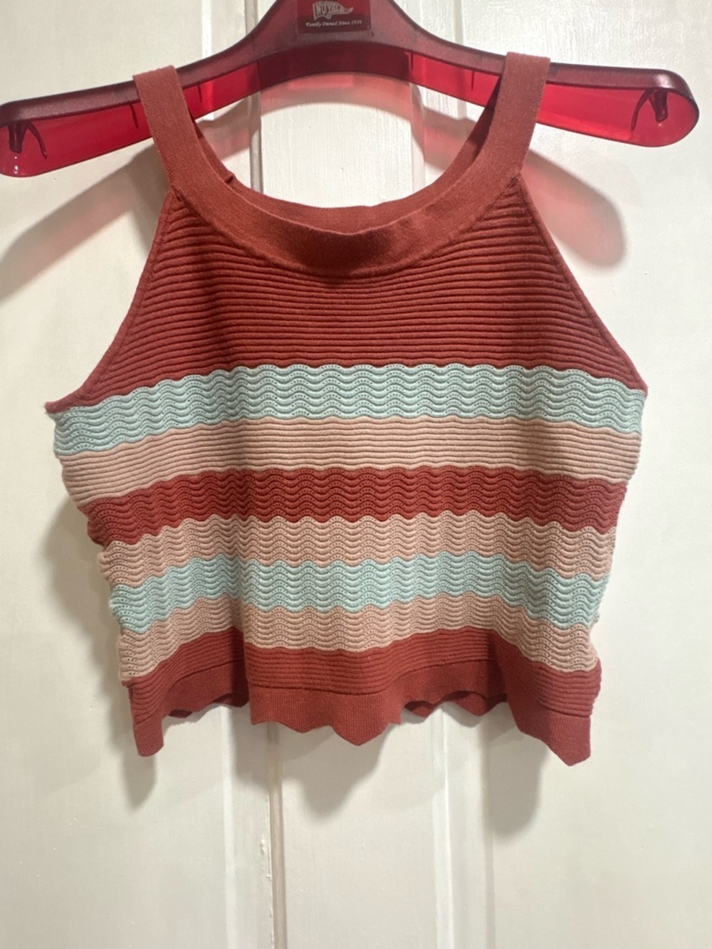 Kori Rust Striped Cropped Knit Tank